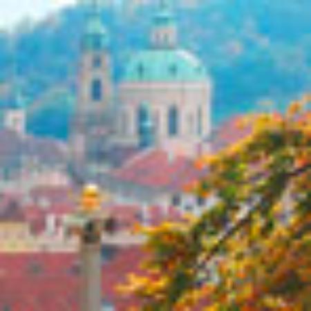 Rangolii Inn Multicuisine Family Restaurant